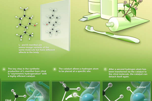 Basf Petronas Chemicals Integrated Aroma Ingredients Complex